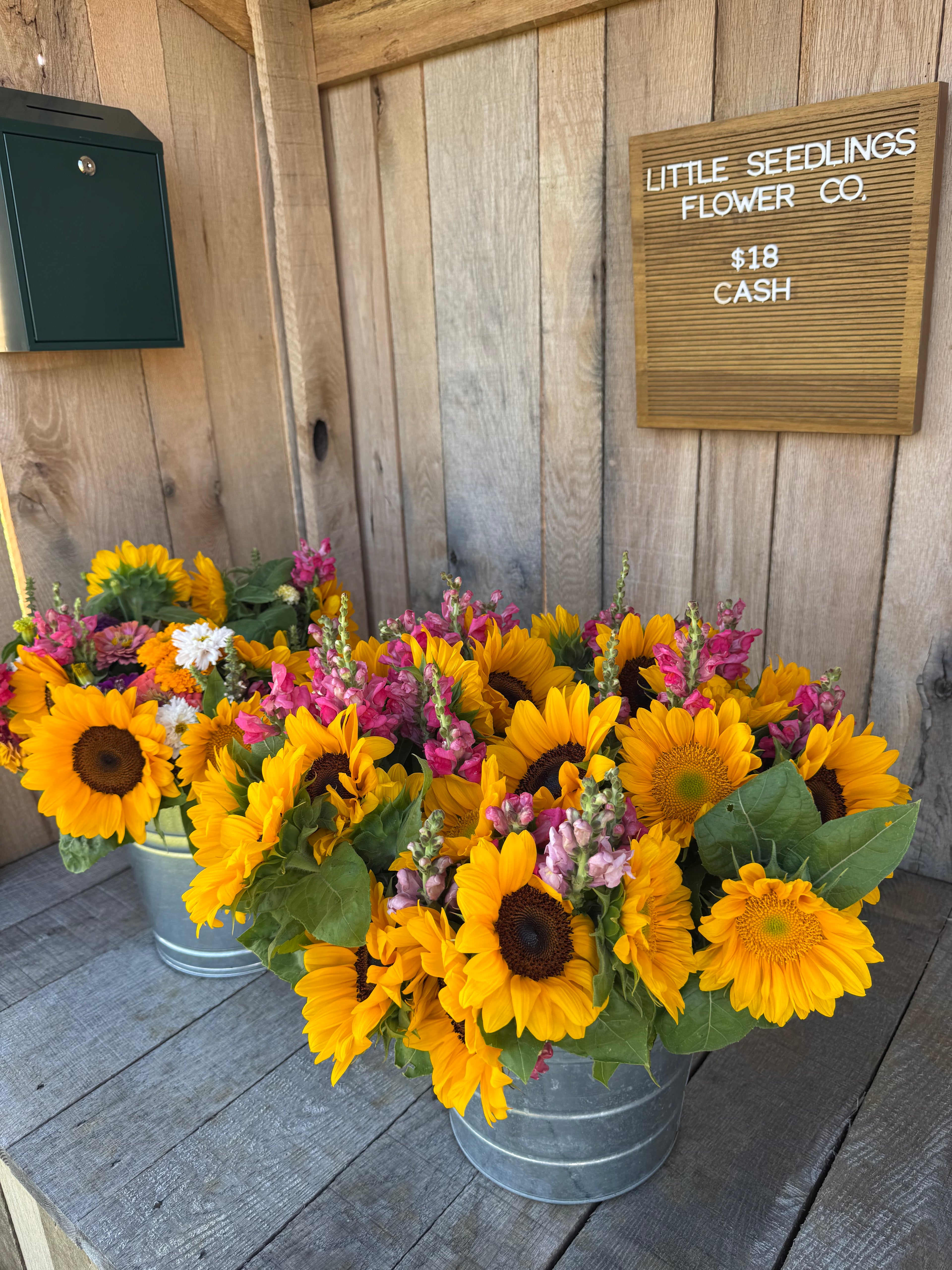 Wrapped Single Bouquets