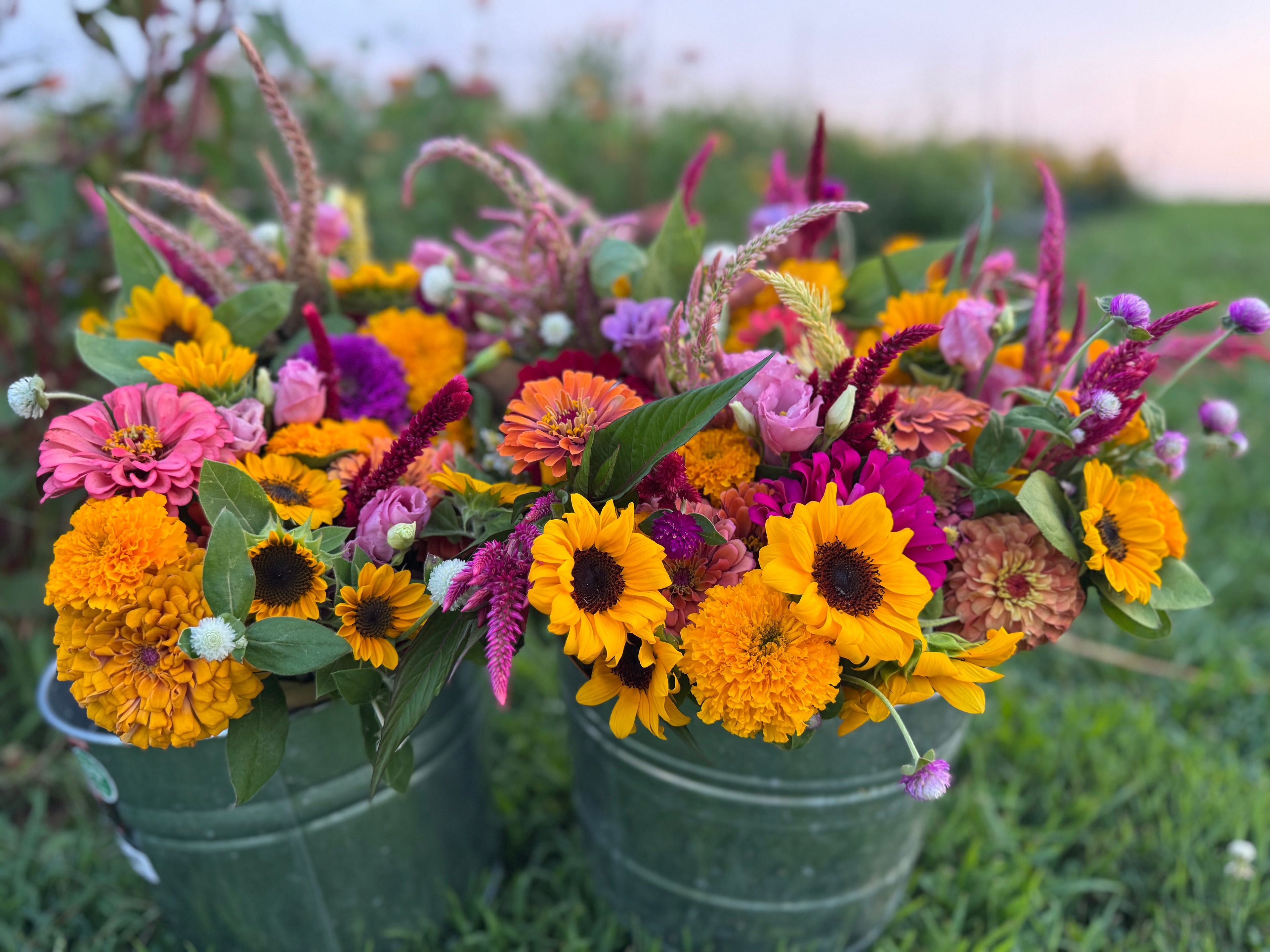 Wrapped Single Bouquets