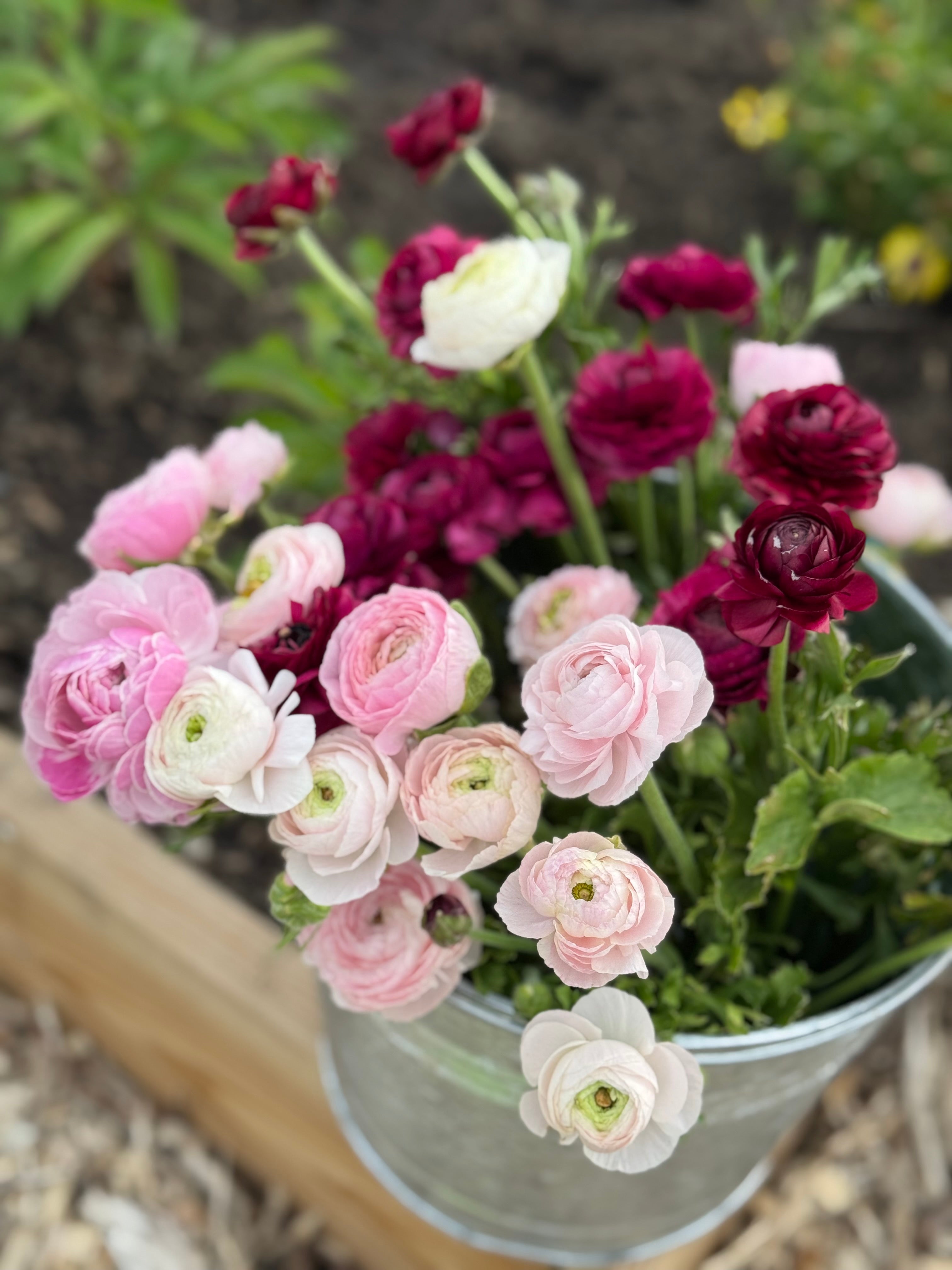 Bulk Bucket Florals