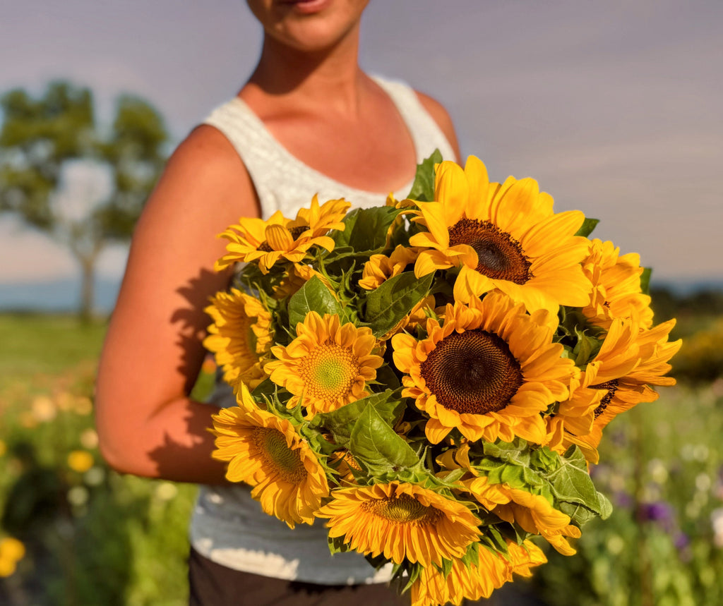 Bulk Bucket Florals